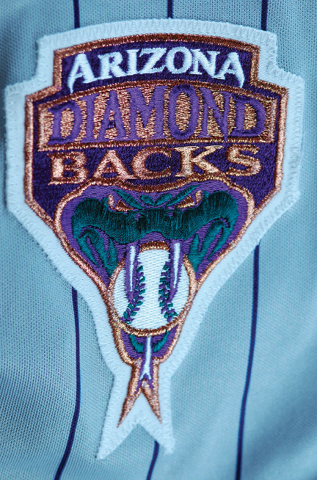 Lot Detail - Kelly Stinnett 1998 Game-Used Arizona Diamondbacks Jersey