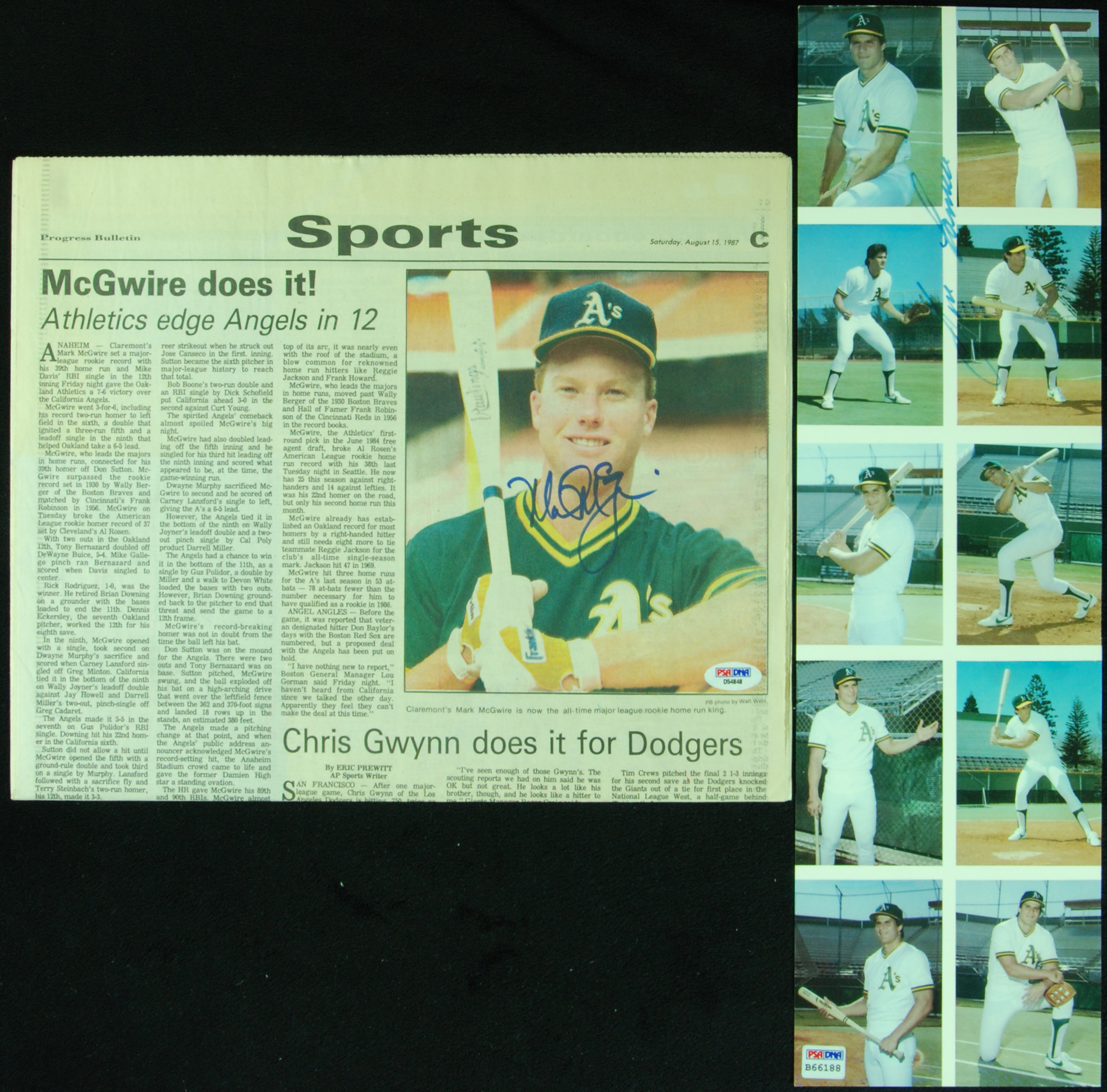 Lot Detail - 1987 Mark McGwire Rookie Card Lot of (14) Cards All PSA 10