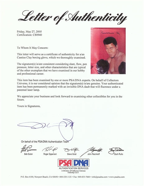 Cassius Clay & Muhammad Ali Signed Wayne Prokopiak Hand-Painted Boxing Gloves Pair (2) (PSA/DNA)