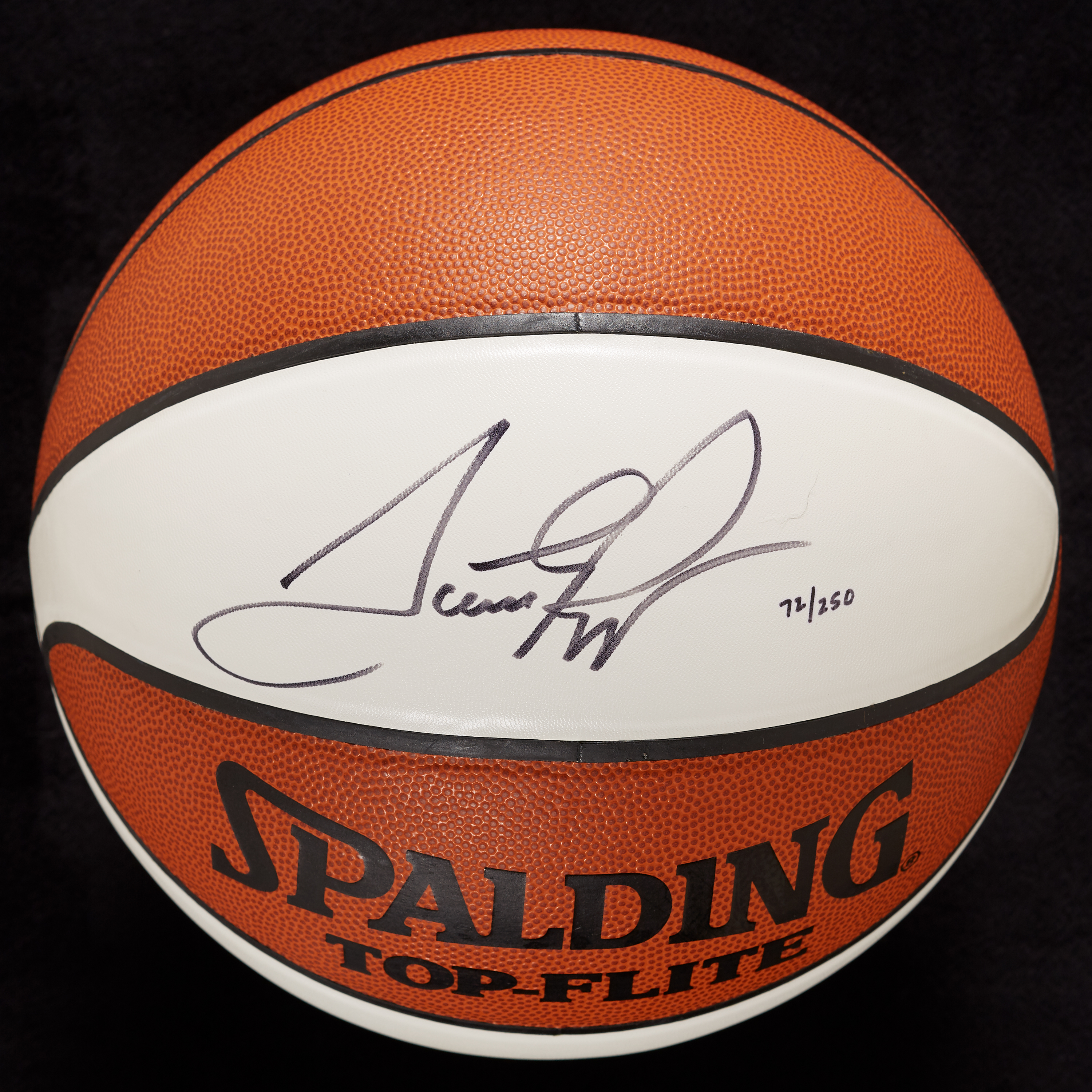 Scottie Pippen Chicago Bulls Autographed White Panel Basketball