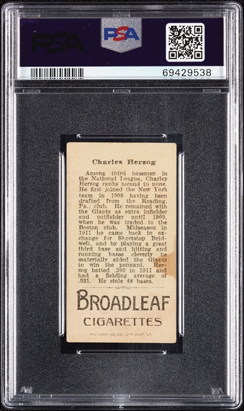 1912 T207 Brown Background Charles Herzog PSA 3