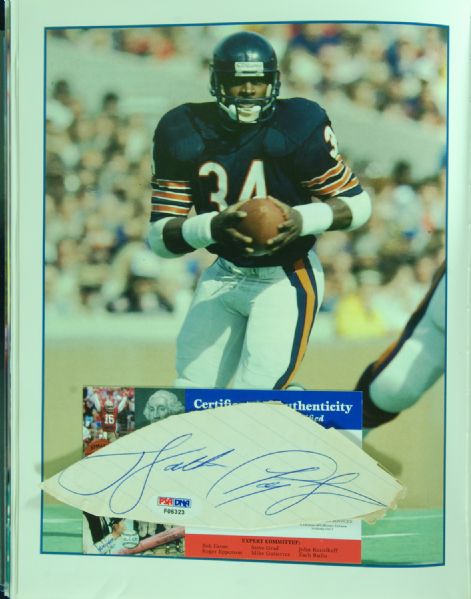 Multi-Signed The Bears - A 75 Year Celebration Book (75 Signatures) with Payton, Halas