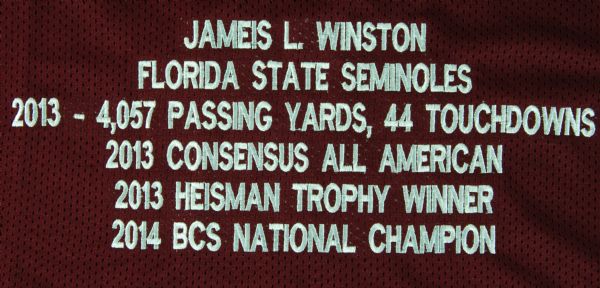 Jameis Winston Signed Florida State Jersey (JSA)