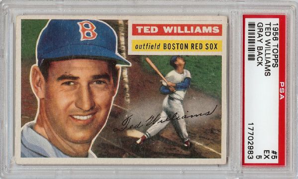 1956 Topps Ted Williams (Gray Back) No. 5 PSA 5