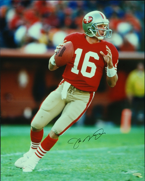 Joe Montana Signed 16x20 Photo (PSA/DNA)