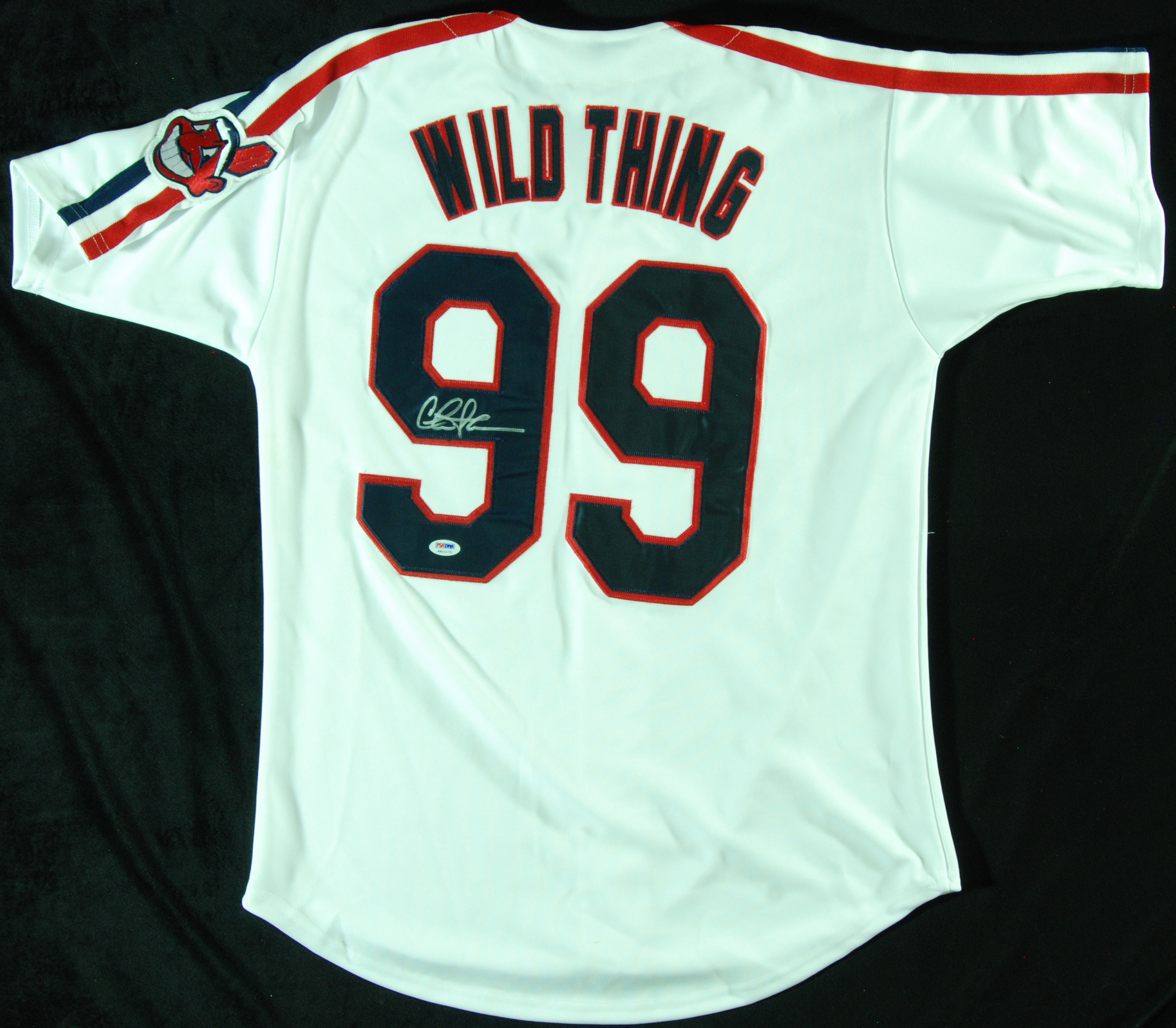 Lot Detail - Charlie Sheen Wild Thing Ricky Vaughn Signed Jersey