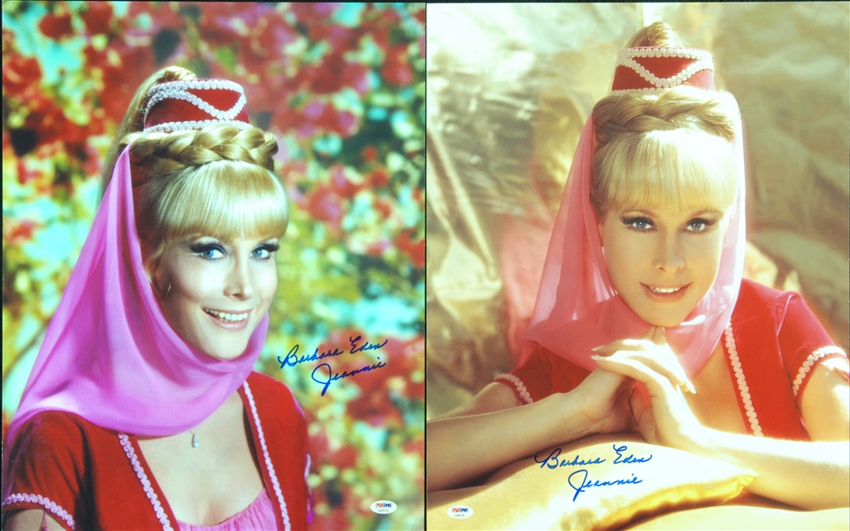 Barbara Eden Signed 16x20 Photos (2) (PSA/DNA)