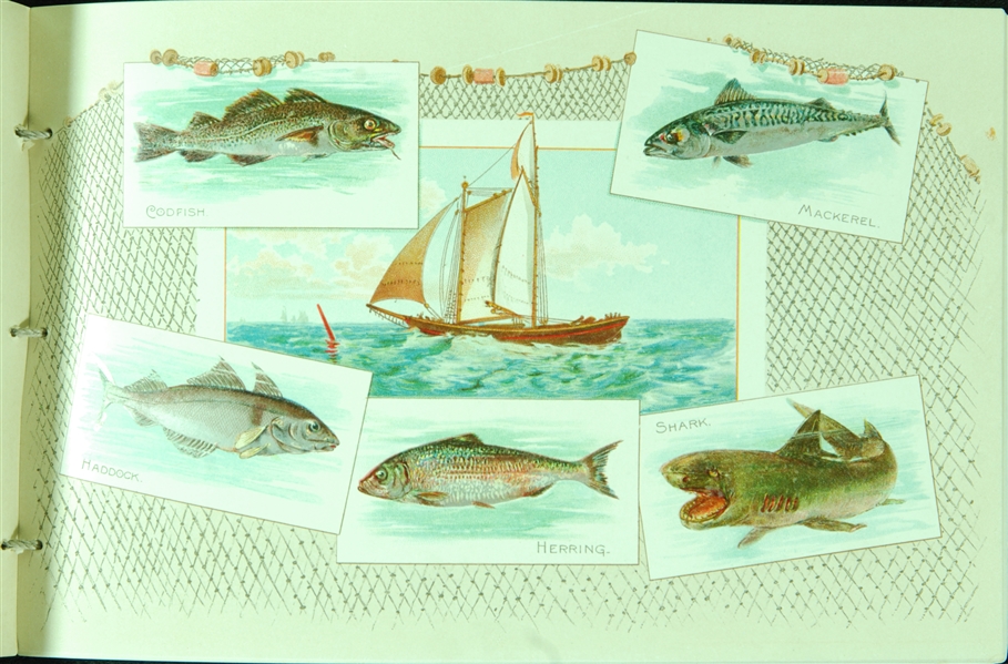 1880’s Allen & Ginter 50 Fish From American Waters Album