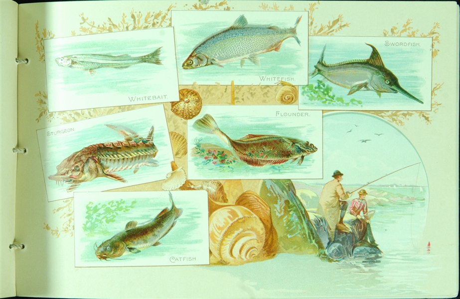 1880’s Allen & Ginter 50 Fish From American Waters Album