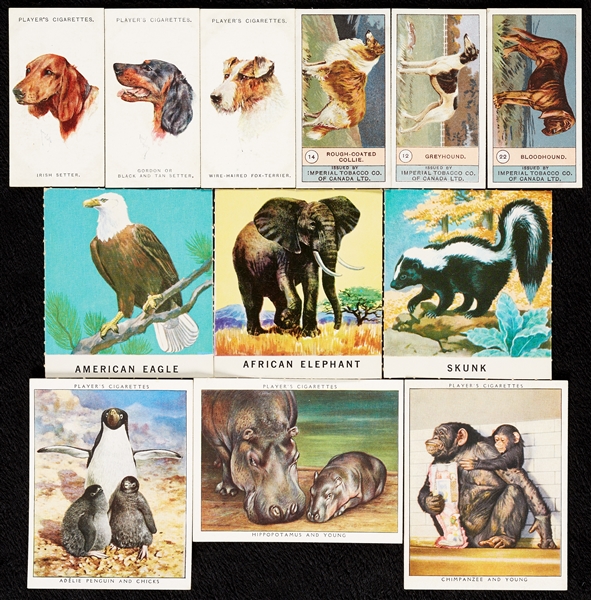 1924-38 Non-Sport Sets of Dogs, Zoo Babies and Wild Animals (4)