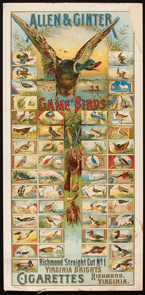 1889 Allen & Ginter N13 Game Birds Advertising Display Piece