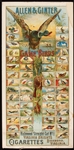 1889 Allen & Ginter N13 Game Birds Advertising Display Piece